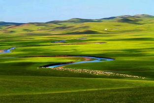 呼伦贝尔最新爆料,神秘遗迹揭秘，古老文明重现光彩